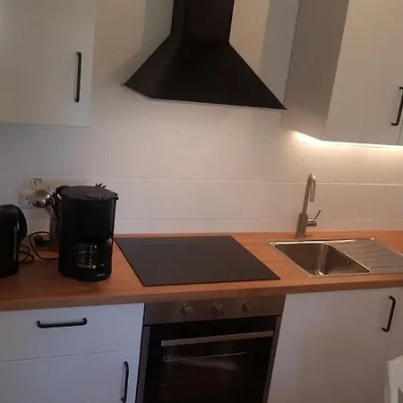 Seemoewe Am Naturstrand