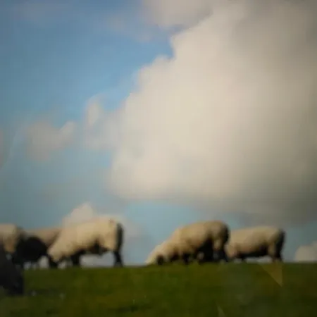 Seemöwe Am Naturstrand Apartment