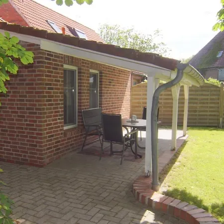 Seemöwe Am Naturstrand *