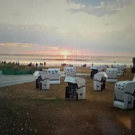 Seemoewe Am Naturstrand