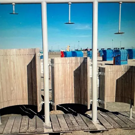 Seemöwe Am Naturstrand Hilgenriedersiel