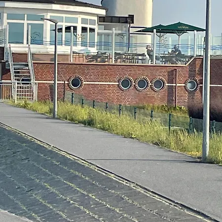 Seemöwe Am Naturstrand * Hilgenriedersiel