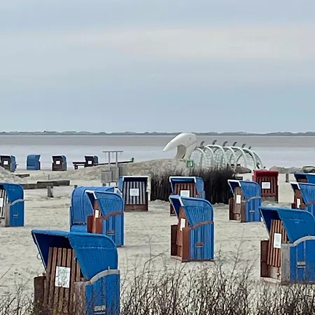 Seemöwe Am Naturstrand