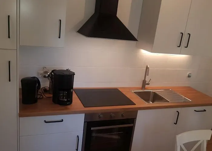 Seemoewe Am Naturstrand