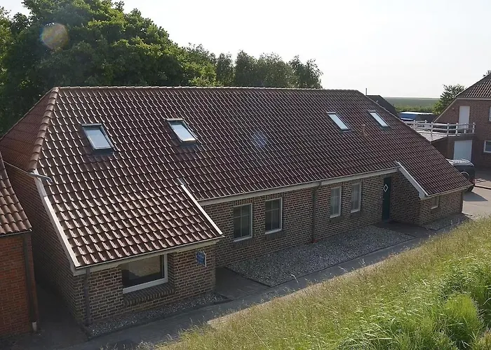 Seemoewe Am Naturstrand * Hilgenriedersiel