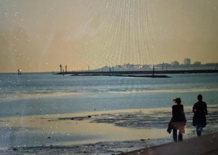 Seemoewe Am Naturstrand * Hilgenriedersiel