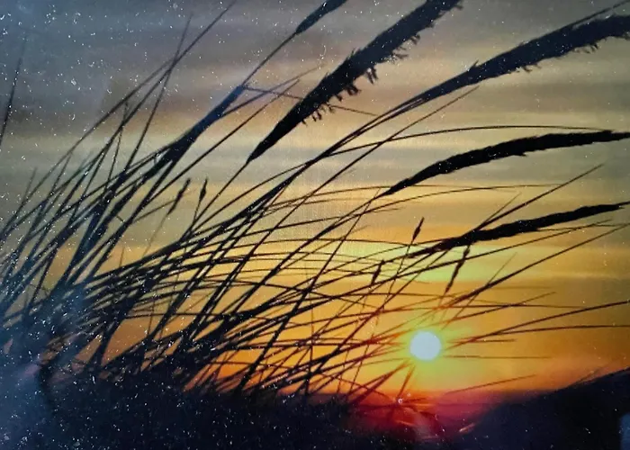 Seemoewe Am Naturstrand 公寓 Hilgenriedersiel