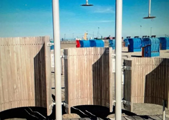 Seemoewe Am Naturstrand Hilgenriedersiel