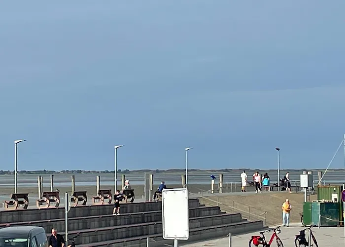 Seemoewe Am Naturstrand 公寓