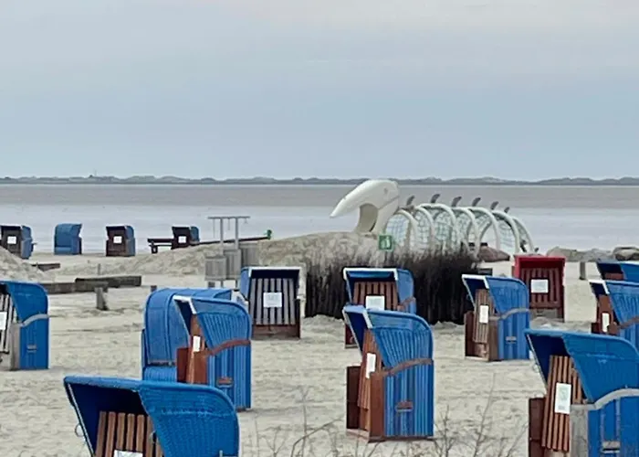 Seemoewe Am Naturstrand